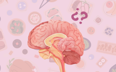 Alimentación intuitiva y neurodivergencia: cuando el hambre, la saciedad y la sobrecarga sensorial se confunden